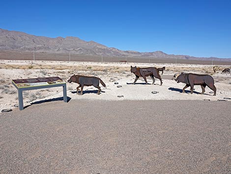 Megafauna Trail