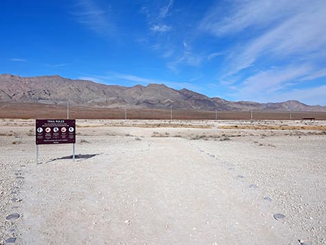 Las Vegas Wash Trail