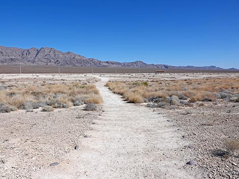 Las Vegas Wash Trail