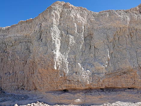 Las Vegas Wash Trail