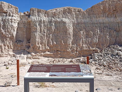 Las Vegas Wash Trail