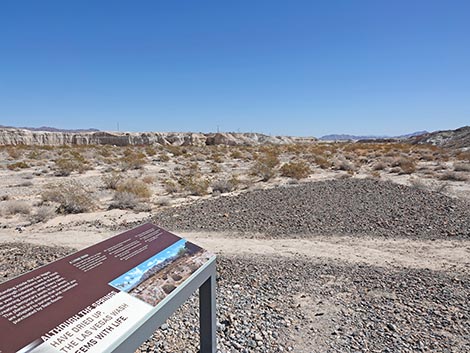 Las Vegas Wash Trail