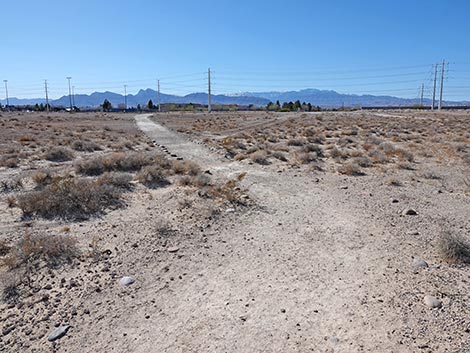 Las Vegas Wash Trail