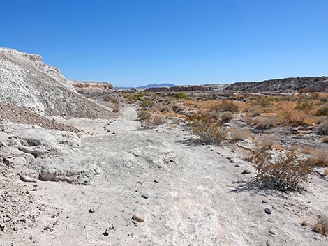 Las Vegas Wash Trail