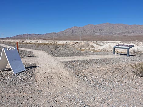 Las Vegas Wash Trail