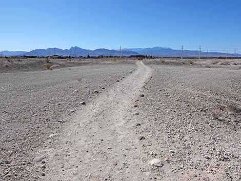 Las Vegas Wash Trail