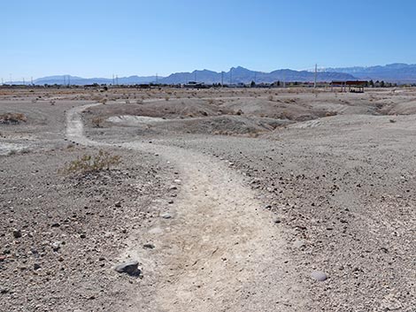 Las Vegas Wash Trail