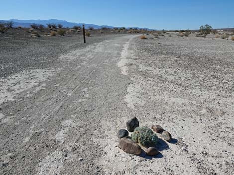 Aliente Loop Trail