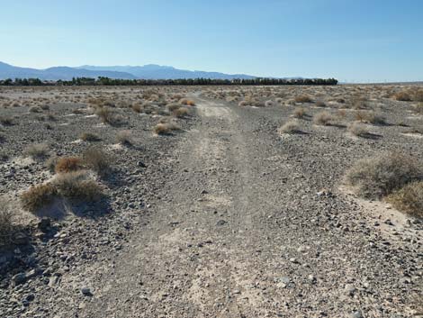 Aliente Loop Trail