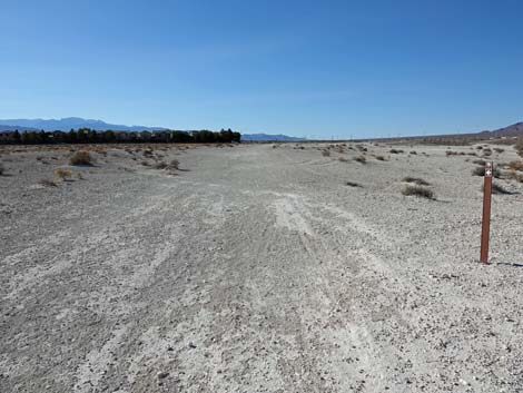 Aliente Loop Trail