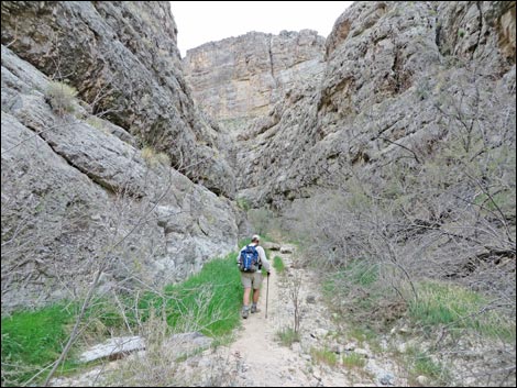 Arrow Canyon