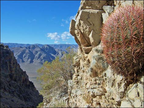 Big Arrow Peak