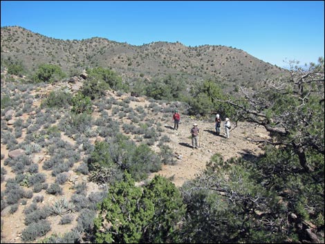 Wee Thump Overlook