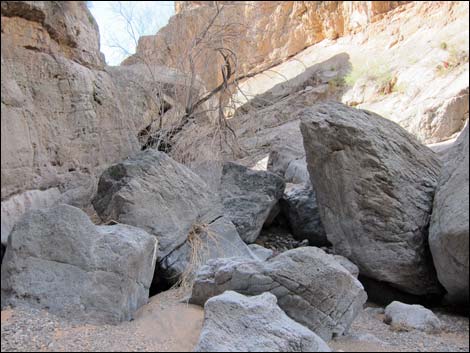 Colorock Canyon Loop