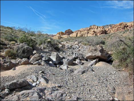 Colorock Canyon Loop