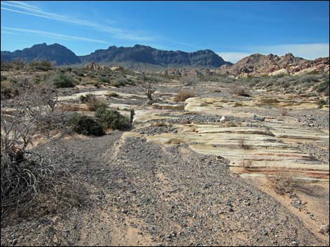 Colorock Canyon Loop