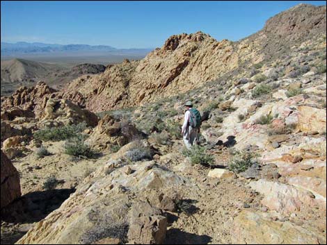 Colorock Canyon Loop