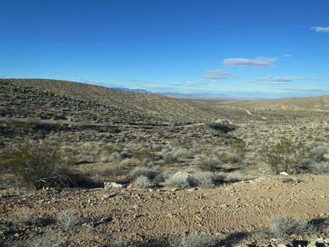 Colorock Quarry Road