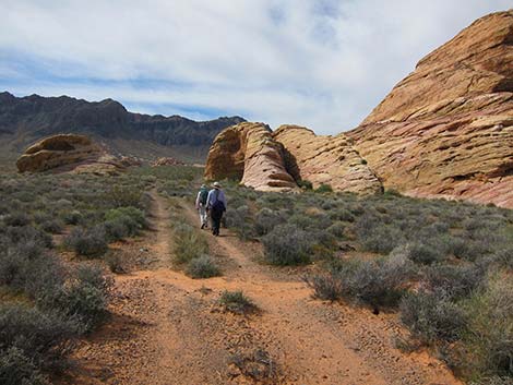 Hidden Valley Arch