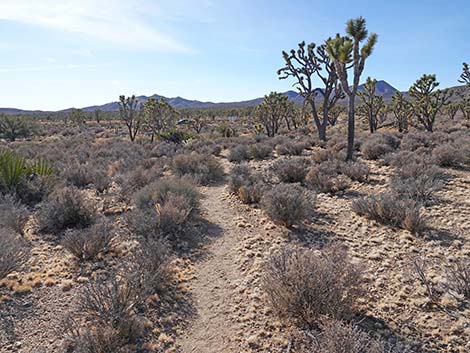 El Dorado Wagon Road Trail