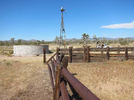 Wee Thump Corral