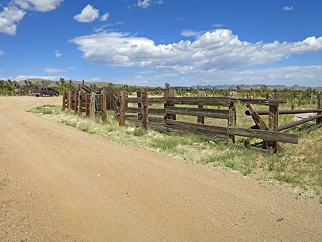 Wee Thump Corral