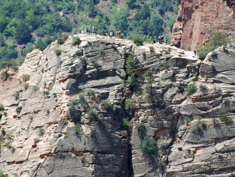 Observation Point Trail