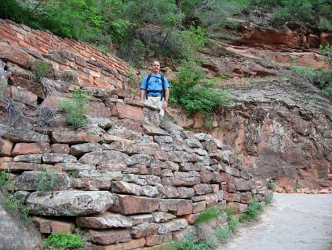 Observation Point Trail