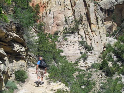 Observation Point Trail