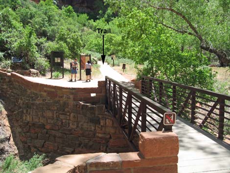 Observation Point Trail