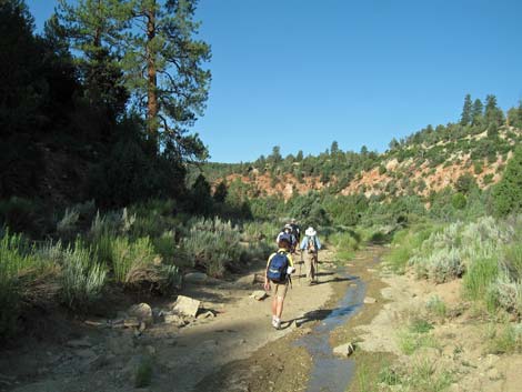 Orderville Canyon