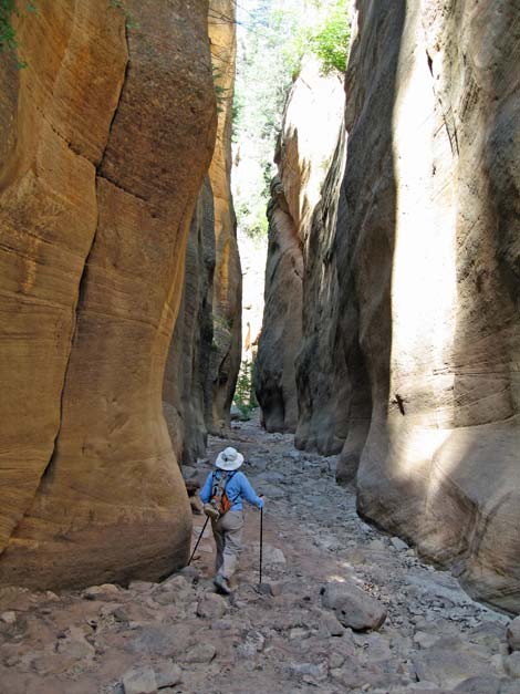 Orderville Canyon