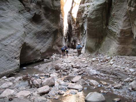 Orderville Canyon