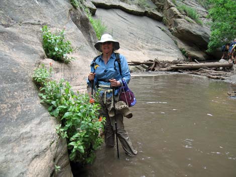 Orderville Canyon