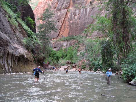 Orderville Canyon