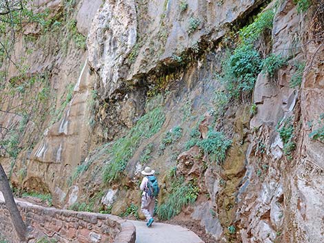 Riverside Walk Trail