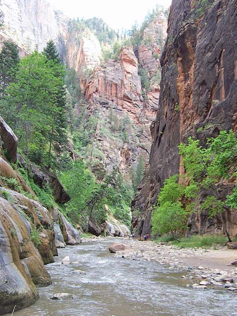 Zion Virgin River Narrows