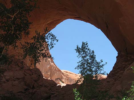 Coyote Gulch