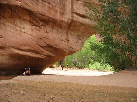 Coyote Gulch