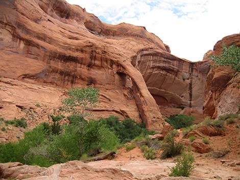 Coyote Gulch