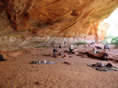 Coyote Gulch