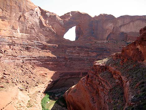 Coyote Gulch