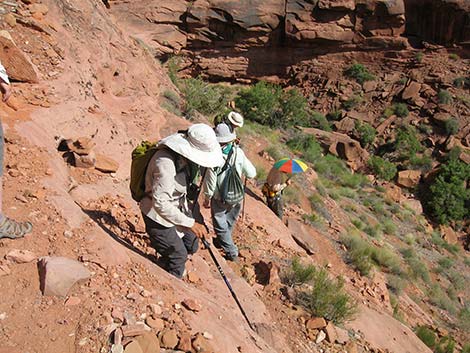 Coyote Gulch