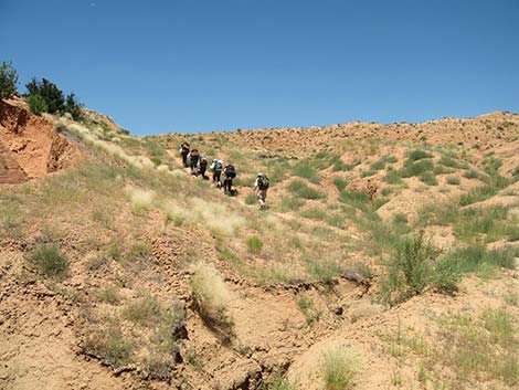 Coyote Gulch