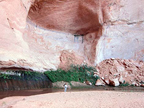 Coyote Gulch