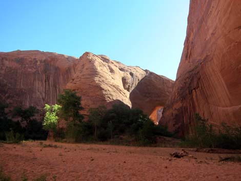 Coyote Gulch