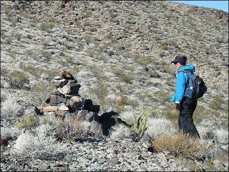 Illegal Bird-killing Mining Claim Markers