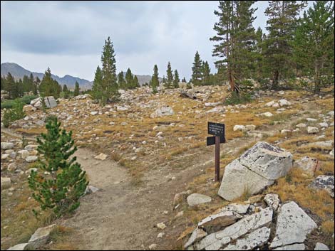 John Muir Trail