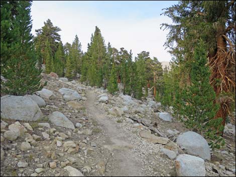 John Muir Trail