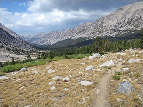 John Muir Trail